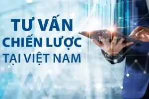 dich vu tu van chien luoc